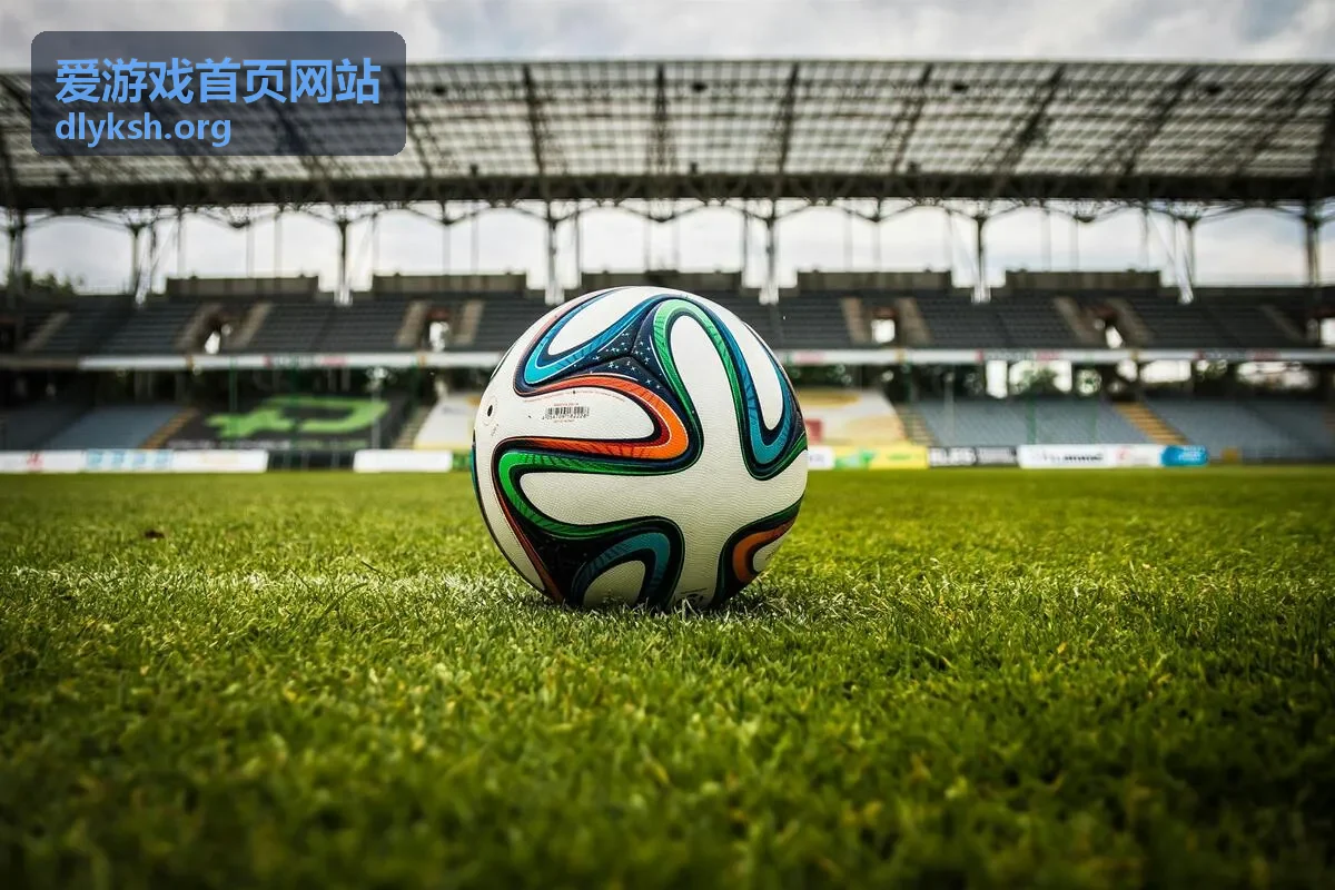 爱游戏首页网站新手指引说明板块