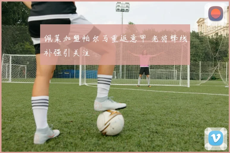 佩莱加盟帕尔马重返意甲 老将锋线补强引关注