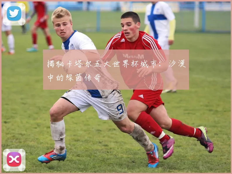 揭秘卡塔尔五大世界杯城市：沙漠中的绿茵传奇