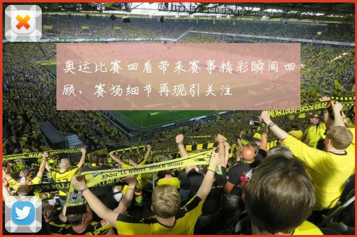 奥运比赛回看带来赛事精彩瞬间回顾,赛场细节再现引关注