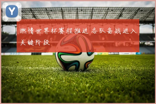 燃情世界杯赛程推进 各队备战进入关键阶段