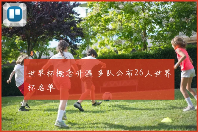 世界杯概念升温 多队公布26人世界杯名单