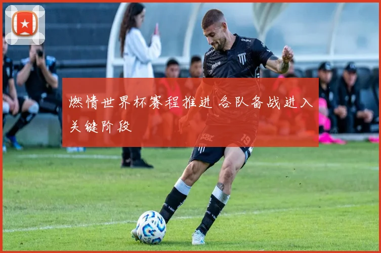 燃情世界杯赛程推进 各队备战进入关键阶段